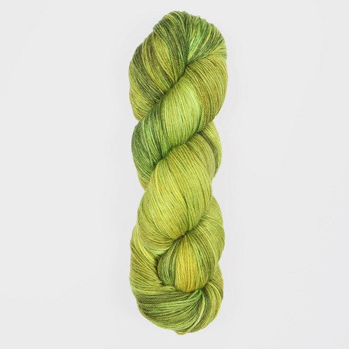 Echeveau 100g : Terra - Symfonie Yarns