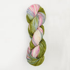 Echeveau 100g : Terra - Symfonie Yarns