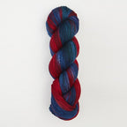 Echeveau 100g : Terra - Symfonie Yarns
