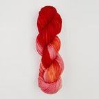 Echeveau 100g : Terra - Symfonie Yarns