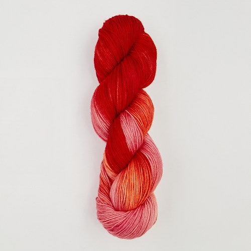Echeveau 100g : Terra - Symfonie Yarns