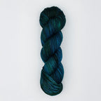 Echeveau 100g : Terra - Symfonie Yarns